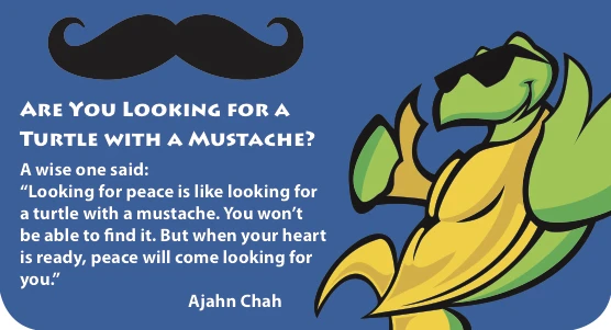 TPeace- MustacheStory-graphic.jpg