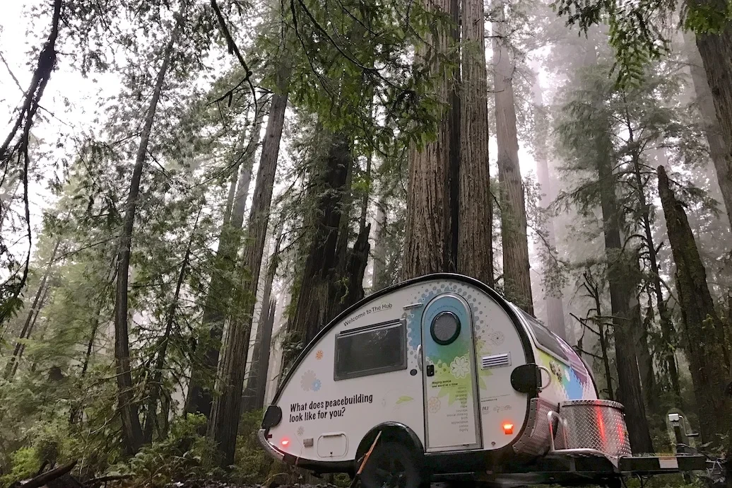 Hub-Big Trees.jpg