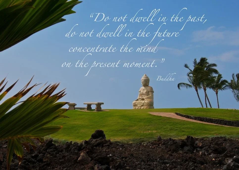 Buddha Point Collection 7.jpg