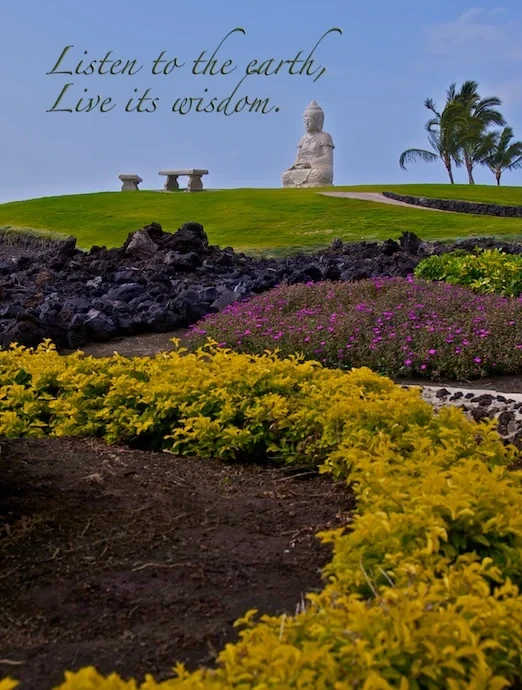 Buddha Point Collection 21.jpg