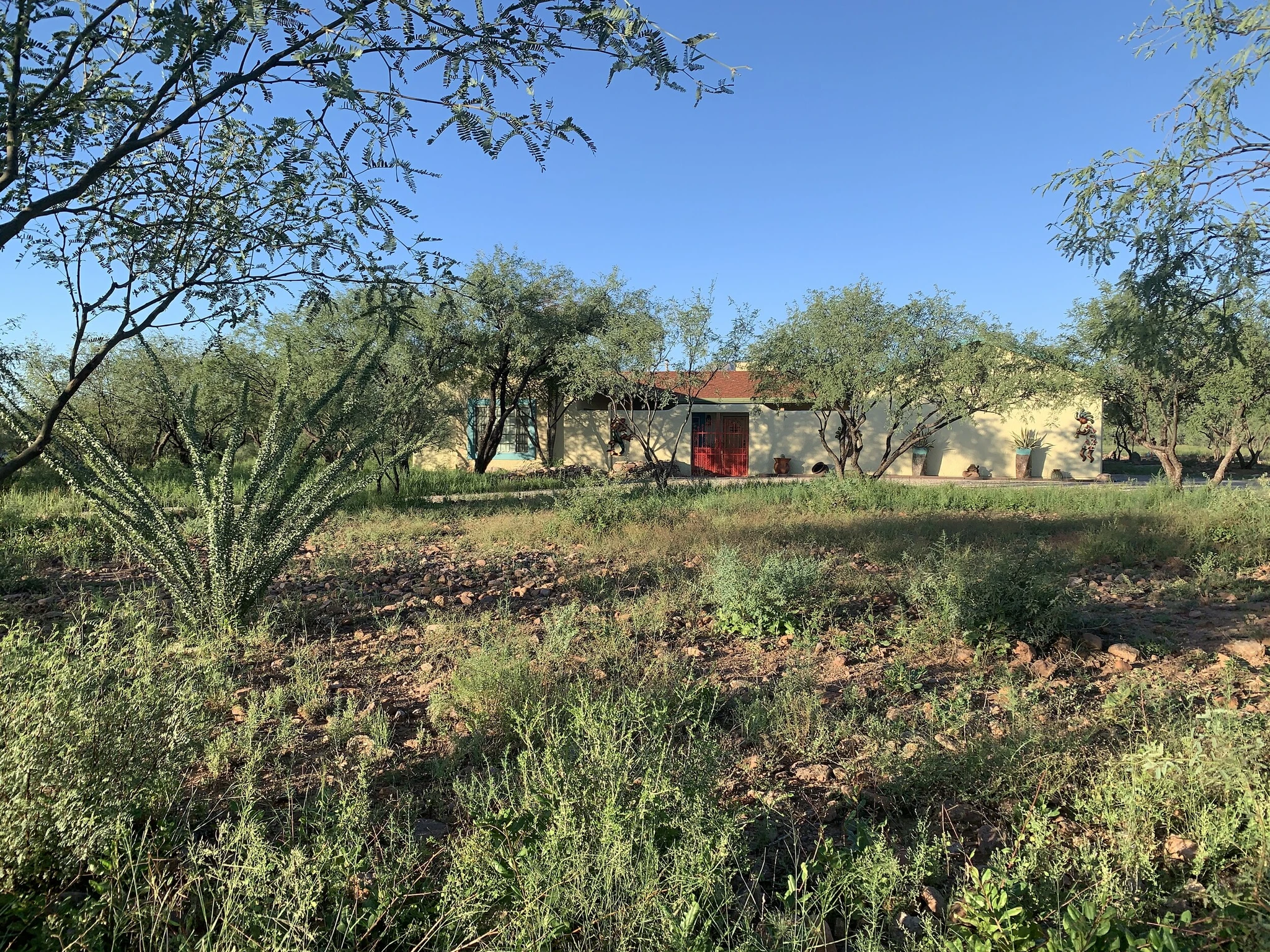 IMG_0060.jpeg
