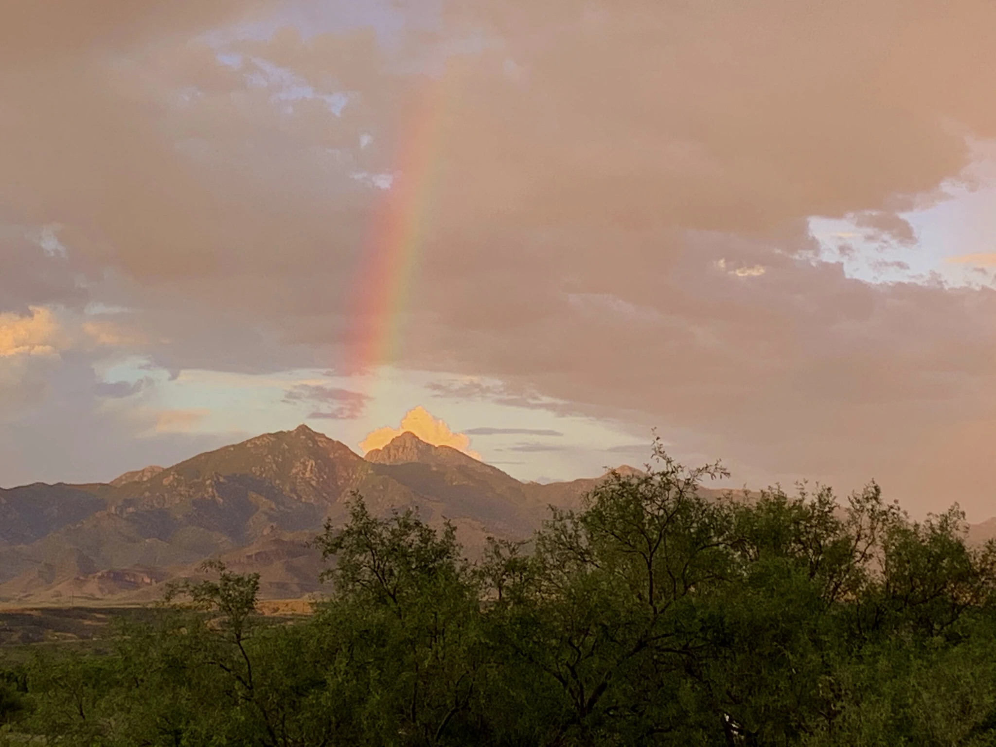TubacRainbow.jpg